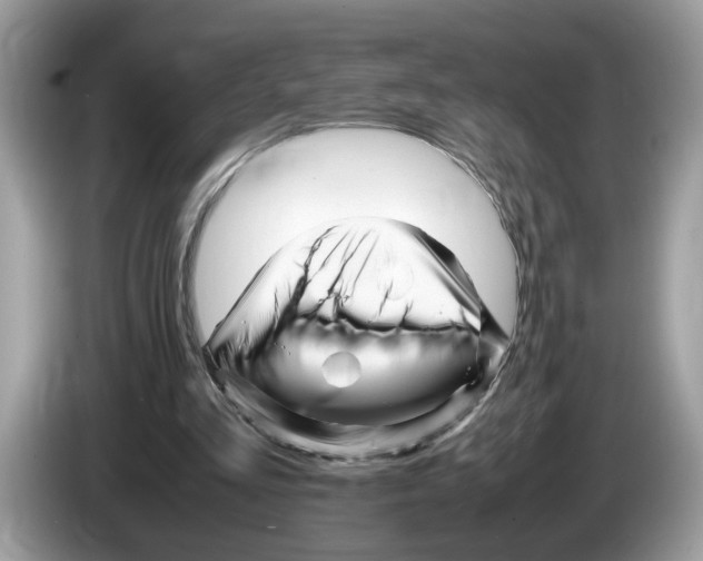 X0000086280293200704262042
