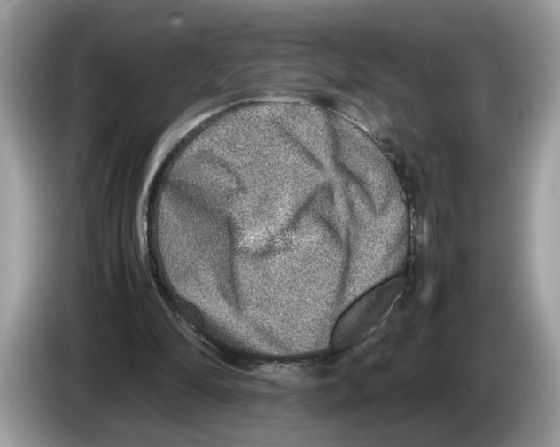 X0000086280294200704262042
