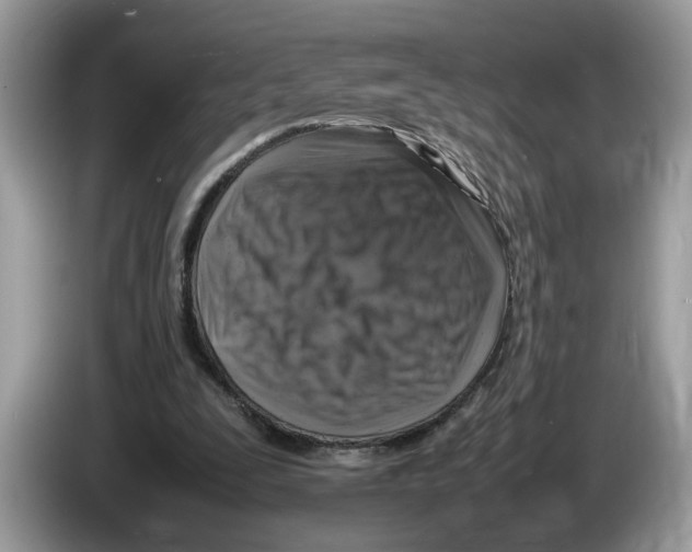 X0000086280295200704262042