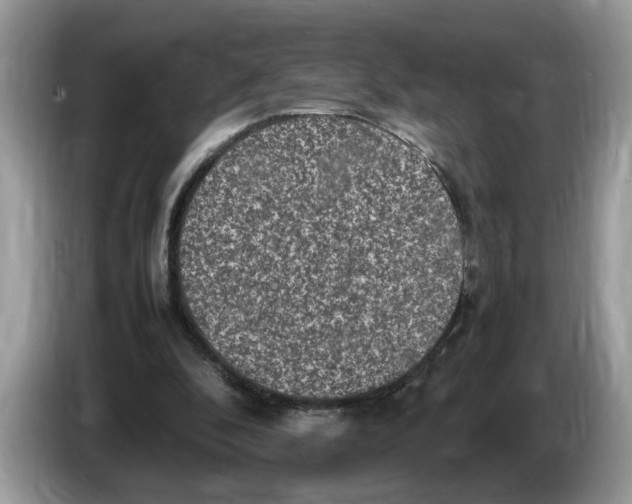 X0000086280296200704262042