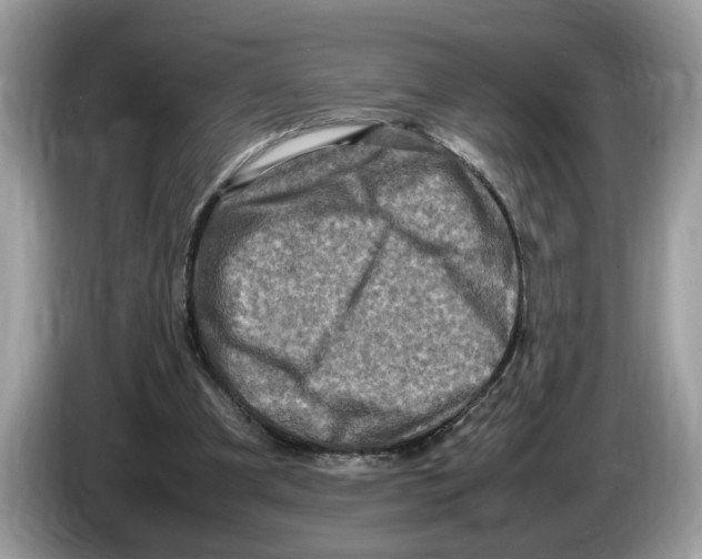 X0000086280297200704262041