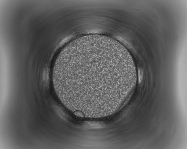 X0000086280300200704262041