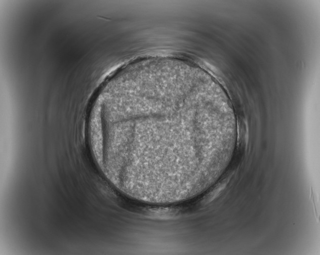 X0000086280301200704262041