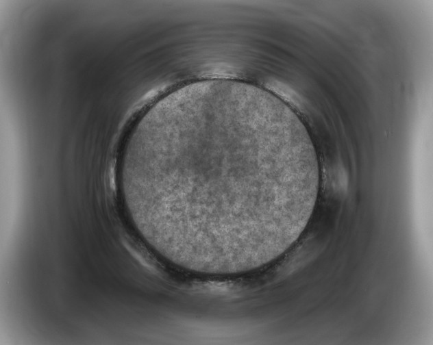 X0000086280302200704262041
