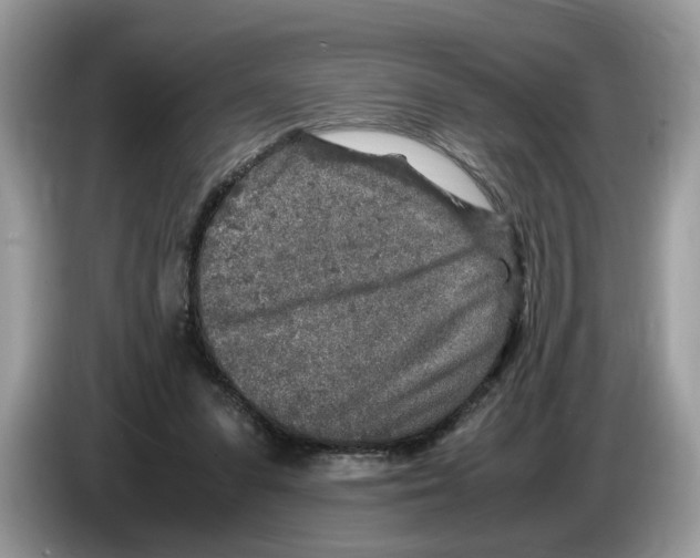 X0000086280303200704262041