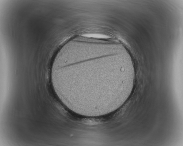 X0000086280305200704262041