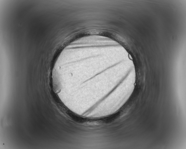 X0000086280307200704262041