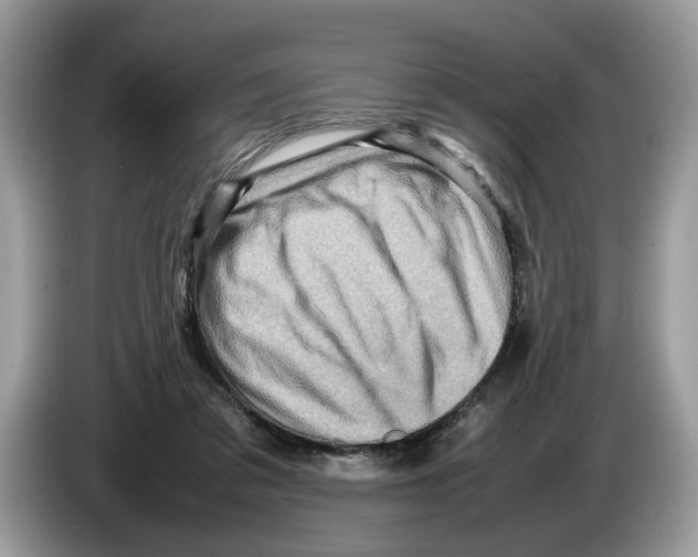 X0000086280309200704262041
