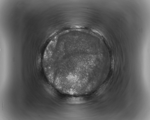 X0000086280314200704262041