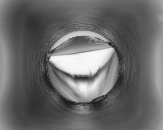 X0000086280317200704262041
