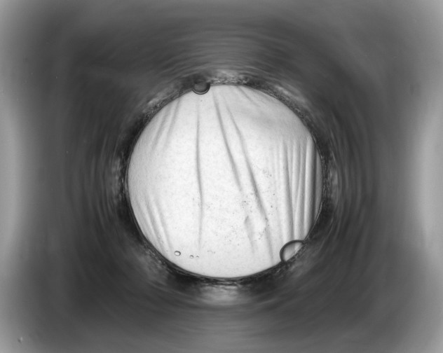 X0000086280318200704262041