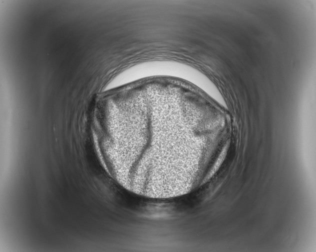 X0000086280319200704262041