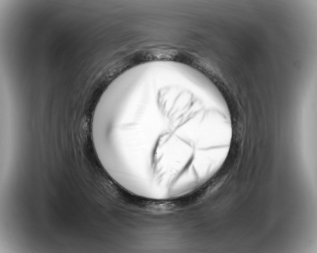 X0000086280321200704262041