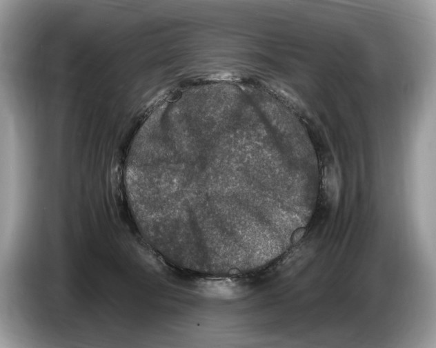 X0000086280322200704262041