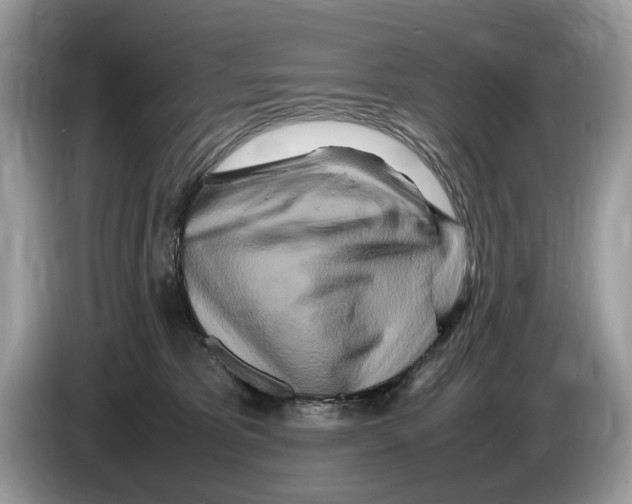 X0000086280325200704262041