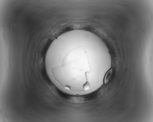X0000086280327200704262041