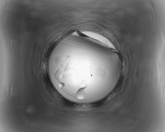 X0000086280329200704262041