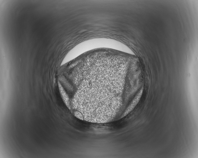 X0000086280331200704262041