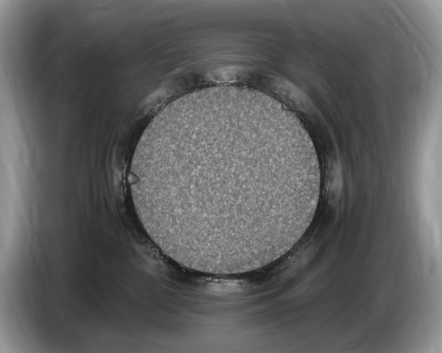 X0000086280332200704262041