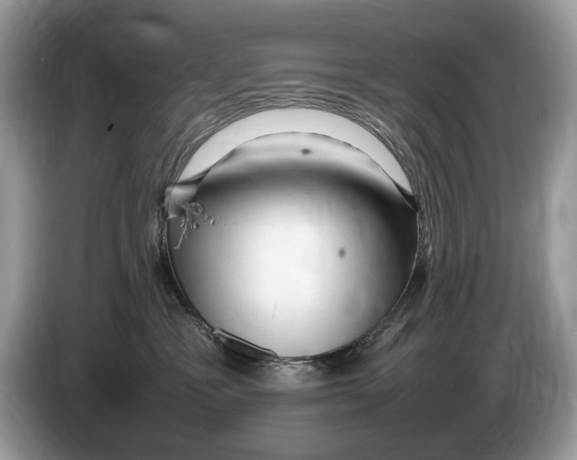 X0000086280333200704262041