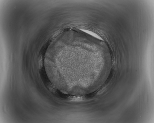 X0000086280335200704262041