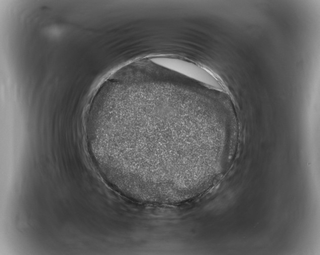 X0000086280337200704262040
