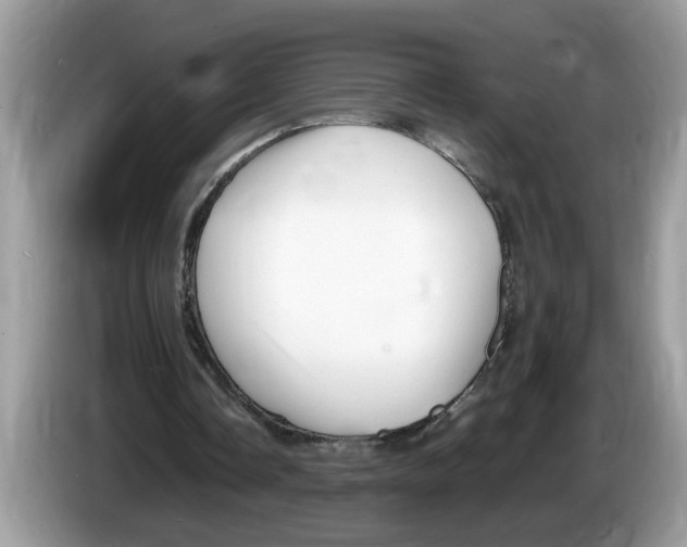 X0000086280338200704262040