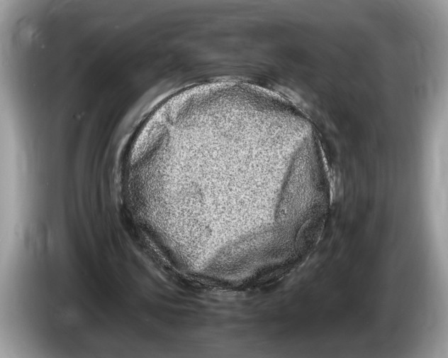 X0000086280339200704262040