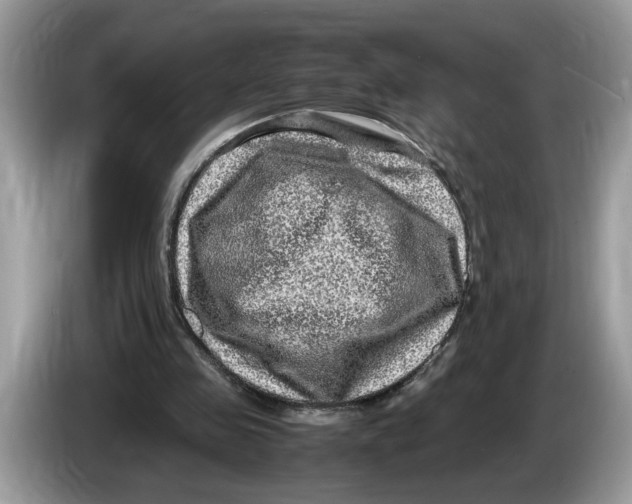 X0000086280341200704262040
