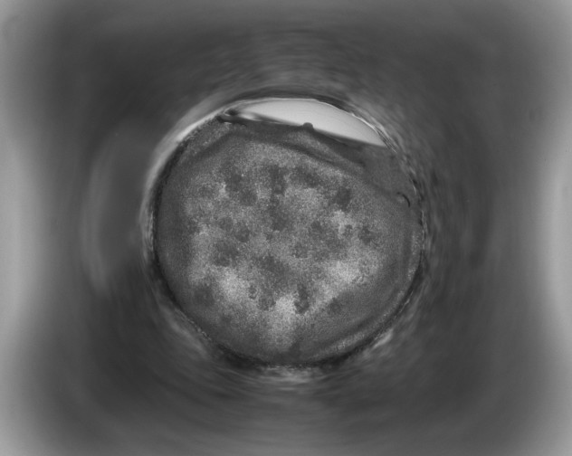 X0000086280343200704262040