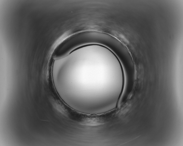 X0000086280344200704262040