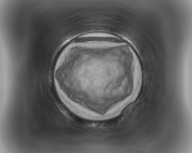 X0000086280345200704262040