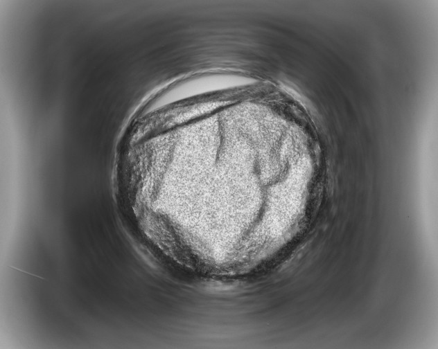 X0000086280346200704262040
