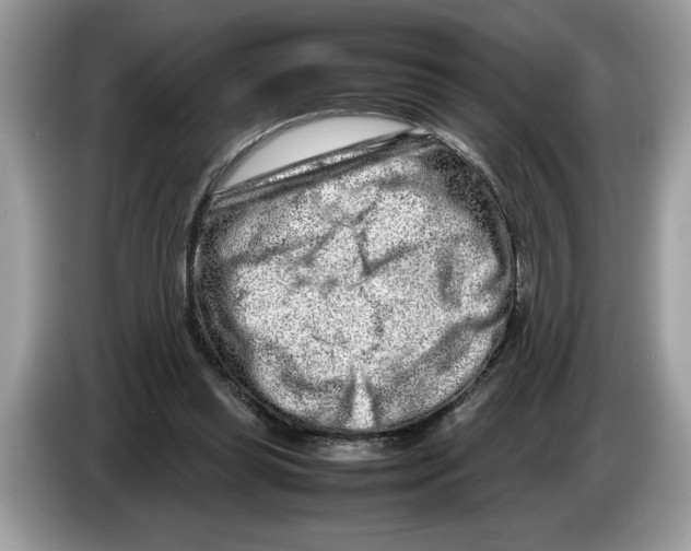 X0000086280349200704262041