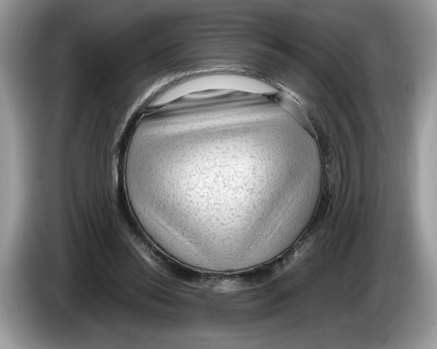 X0000086280350200704262041