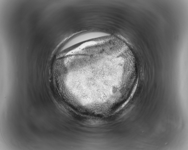 X0000086280351200704262041