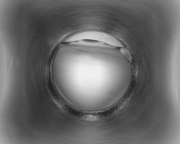 X0000086280352200704262041