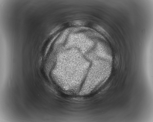 X0000086280355200704262041