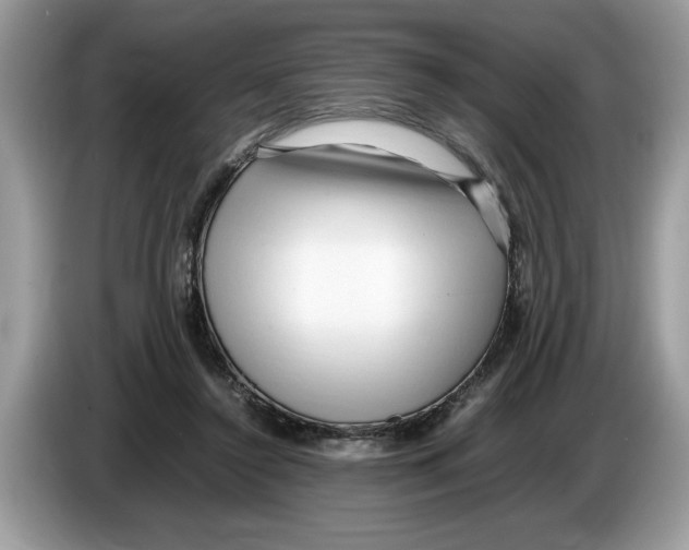 X0000086280356200704262041