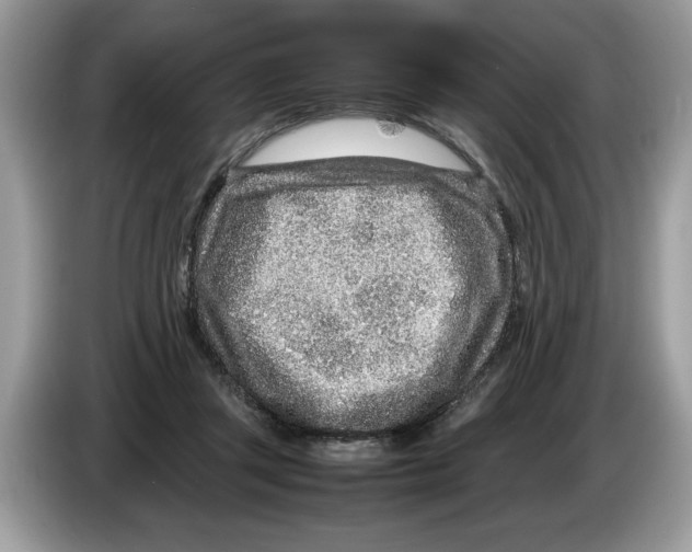X0000086280357200704262041