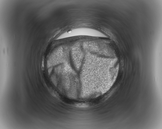 X0000086280358200704262041
