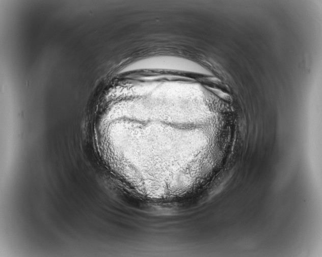 X0000086280359200704262041