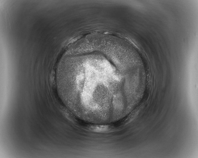 X0000086280361200704262041