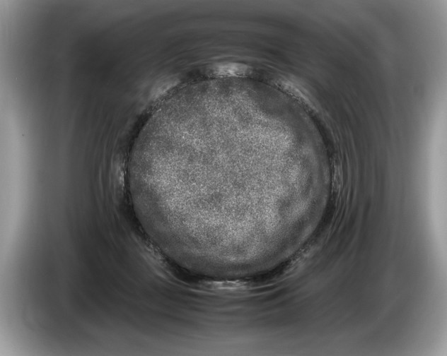 X0000086280363200704262041