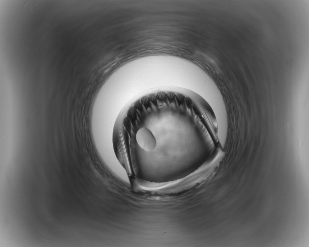 X0000086280364200704262041