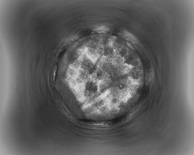 X0000086280365200704262041