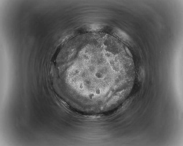 X0000086280366200704262041