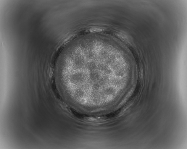 X0000086280367200704262041
