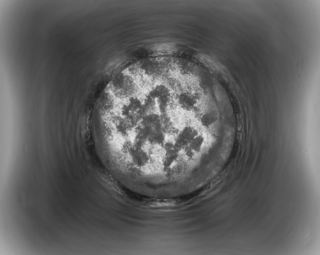 X0000086280369200704262041