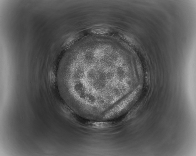 X0000086280371200704262041